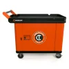 Crescent RAILWORKS 2 Shelf Industrial Utility Cart with 5 Inch Hard Casters and Single Door Lockable Security Panel - Bulk Pallet Supply USA